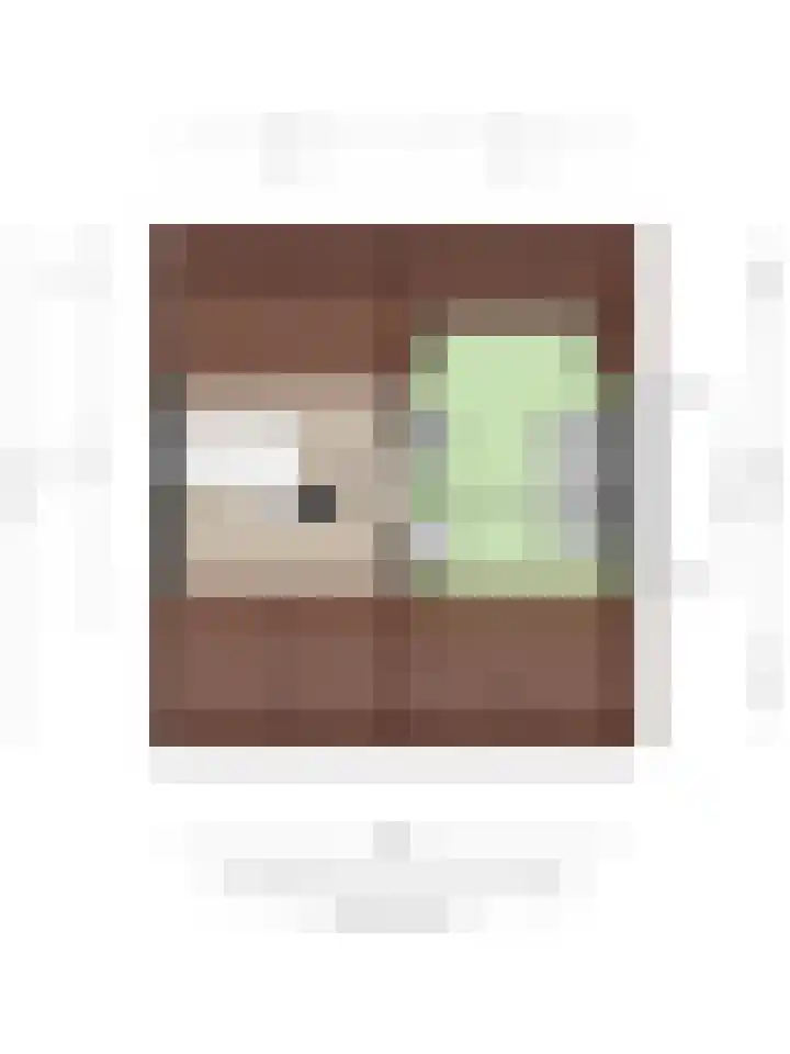 Guido Gezellelaan 8 Berkel-Enschot thumbnail 57