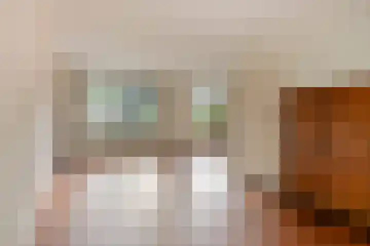 Guido Gezellelaan 8 Berkel-Enschot thumbnail 7