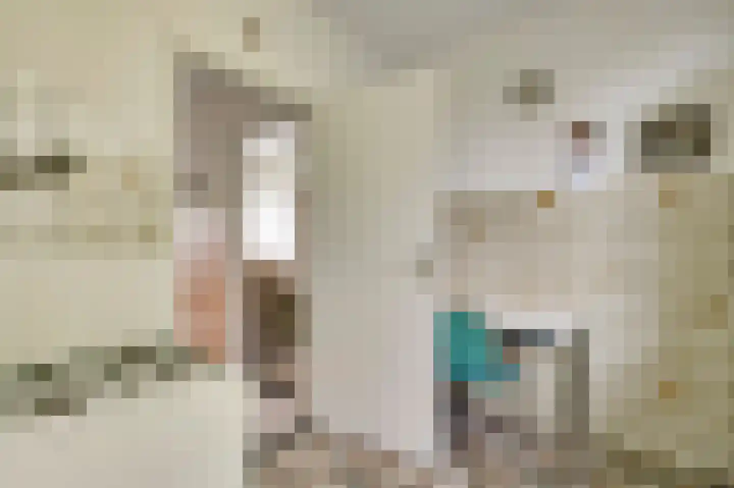 Guido Gezellelaan 8 Geleen thumbnail 38