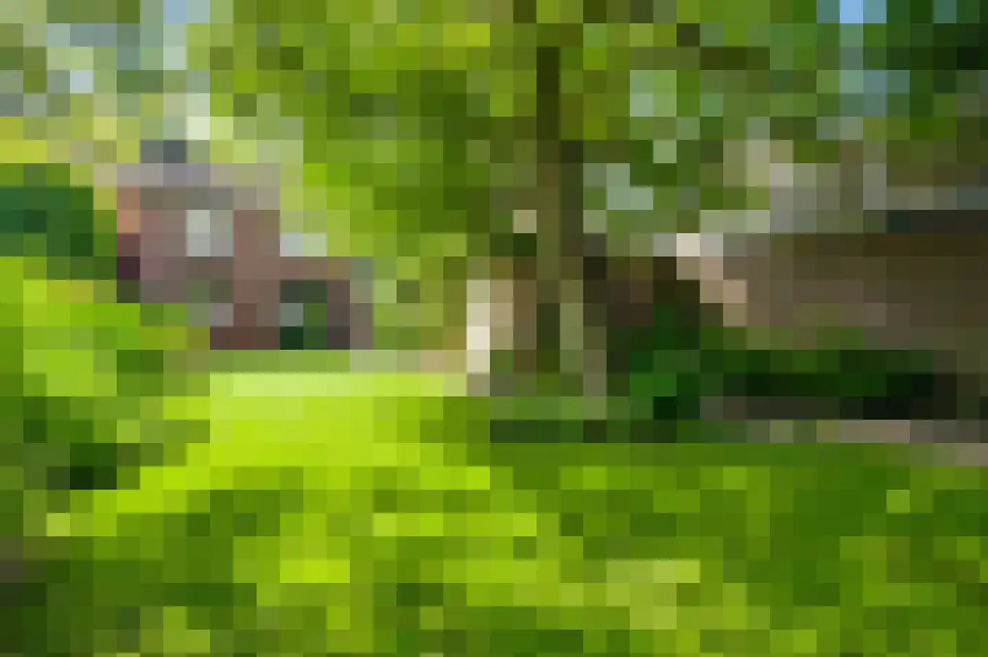 Guido Gezellelaan 8 Geleen thumbnail 4