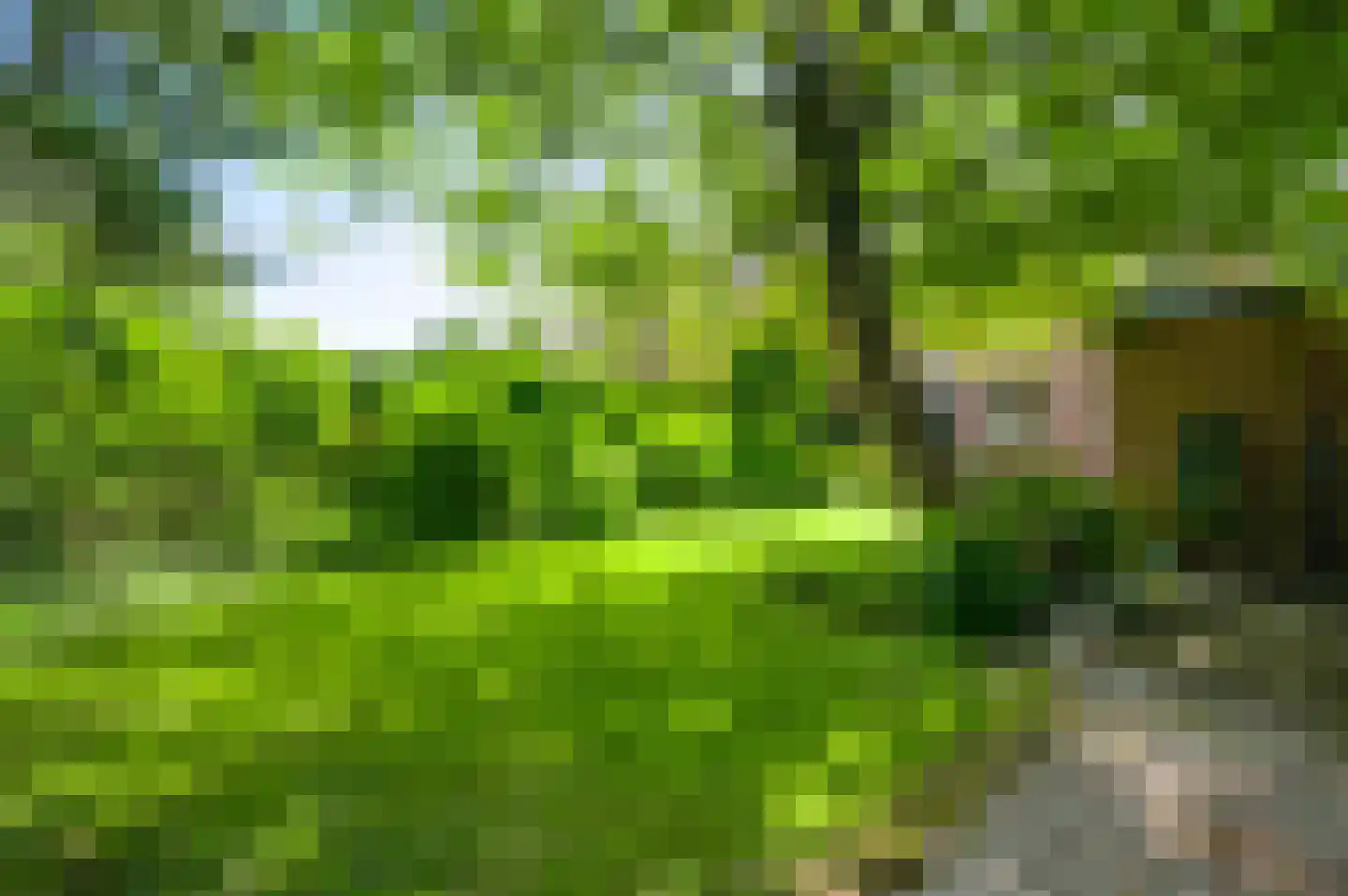 Guido Gezellelaan 8 Geleen thumbnail 6