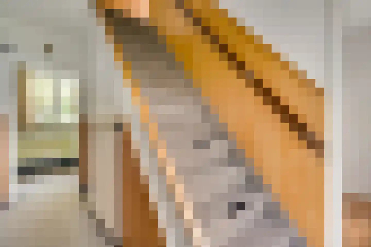 Guido Gezellelaan 8 Geleen thumbnail 9