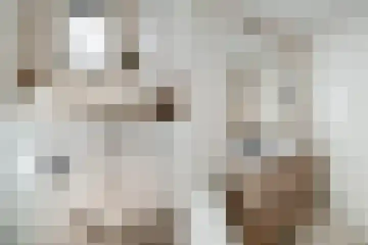 Guido Gezellelaan 8 Uithoorn thumbnail 24