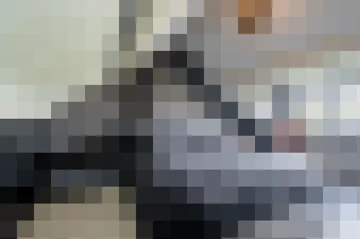 Guido Gezellelaan 8 Uithoorn thumbnail 27
