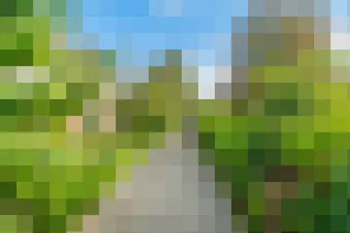 Guido Gezellelaan 8 Uithoorn thumbnail 29