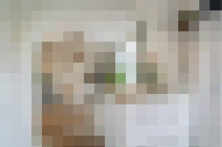 Guido Gezellelaan 8 Uithoorn thumbnail 9