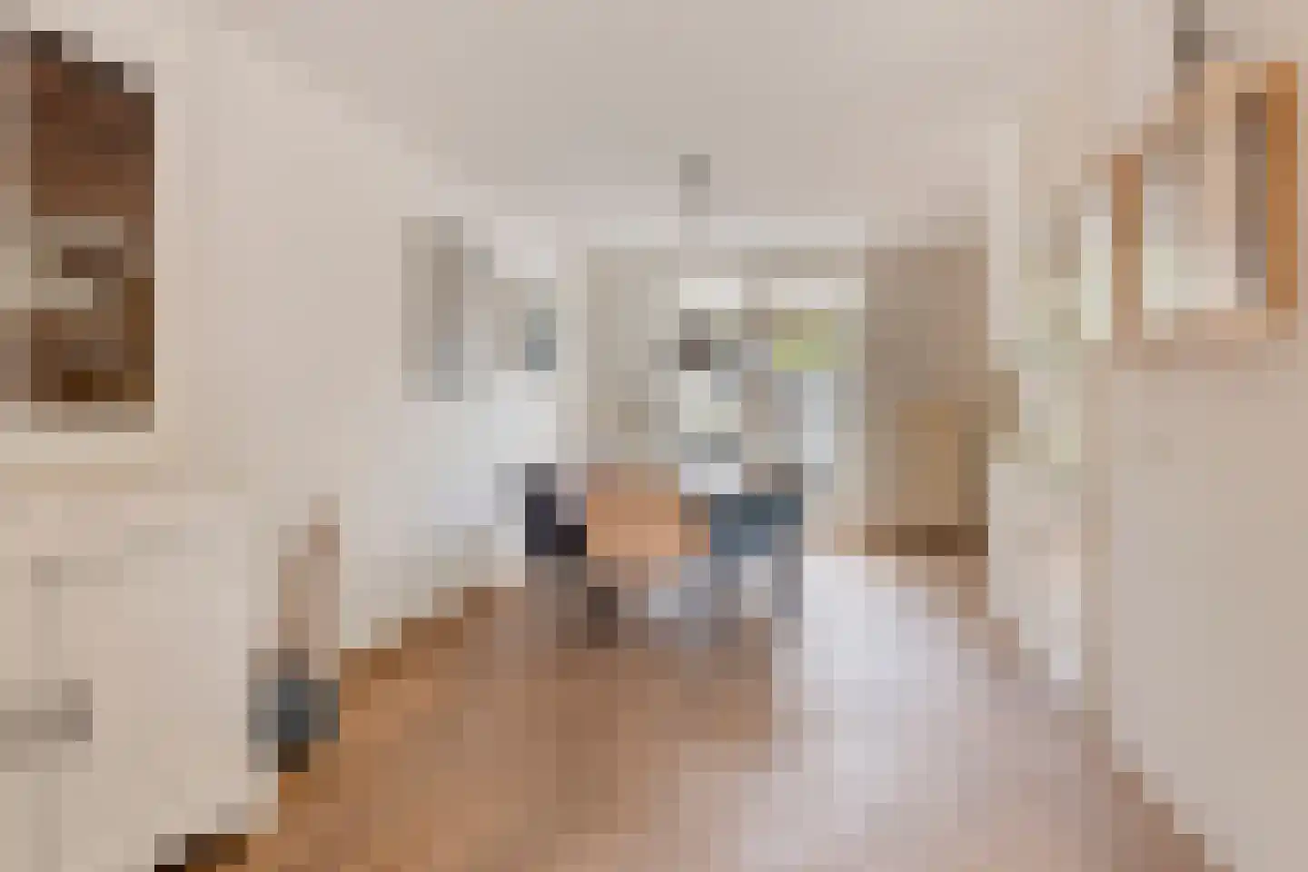 Guido Gezellelaan 86 Goirle thumbnail 12