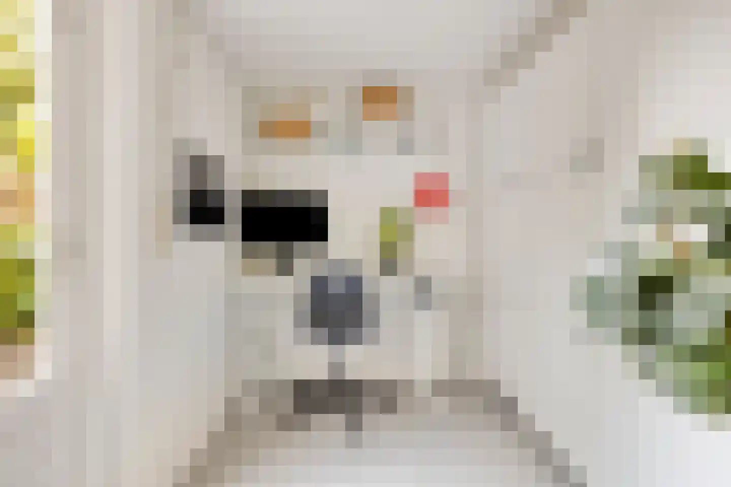 Guido Gezellelaan 86 Goirle thumbnail 17