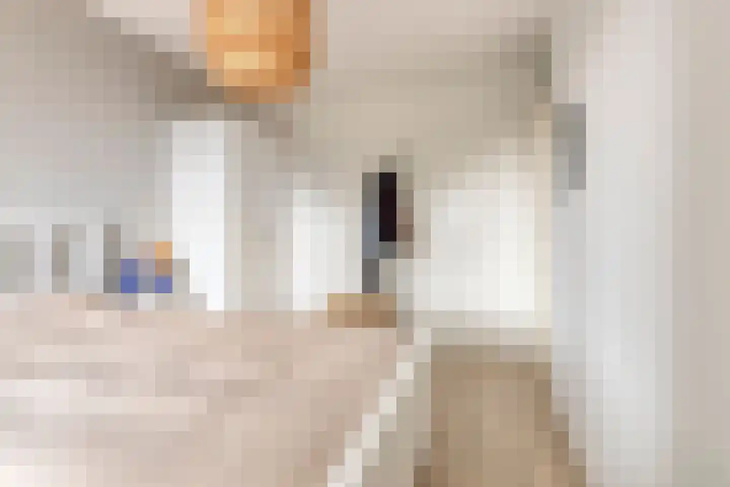 Guido Gezellelaan 86 Goirle thumbnail 20