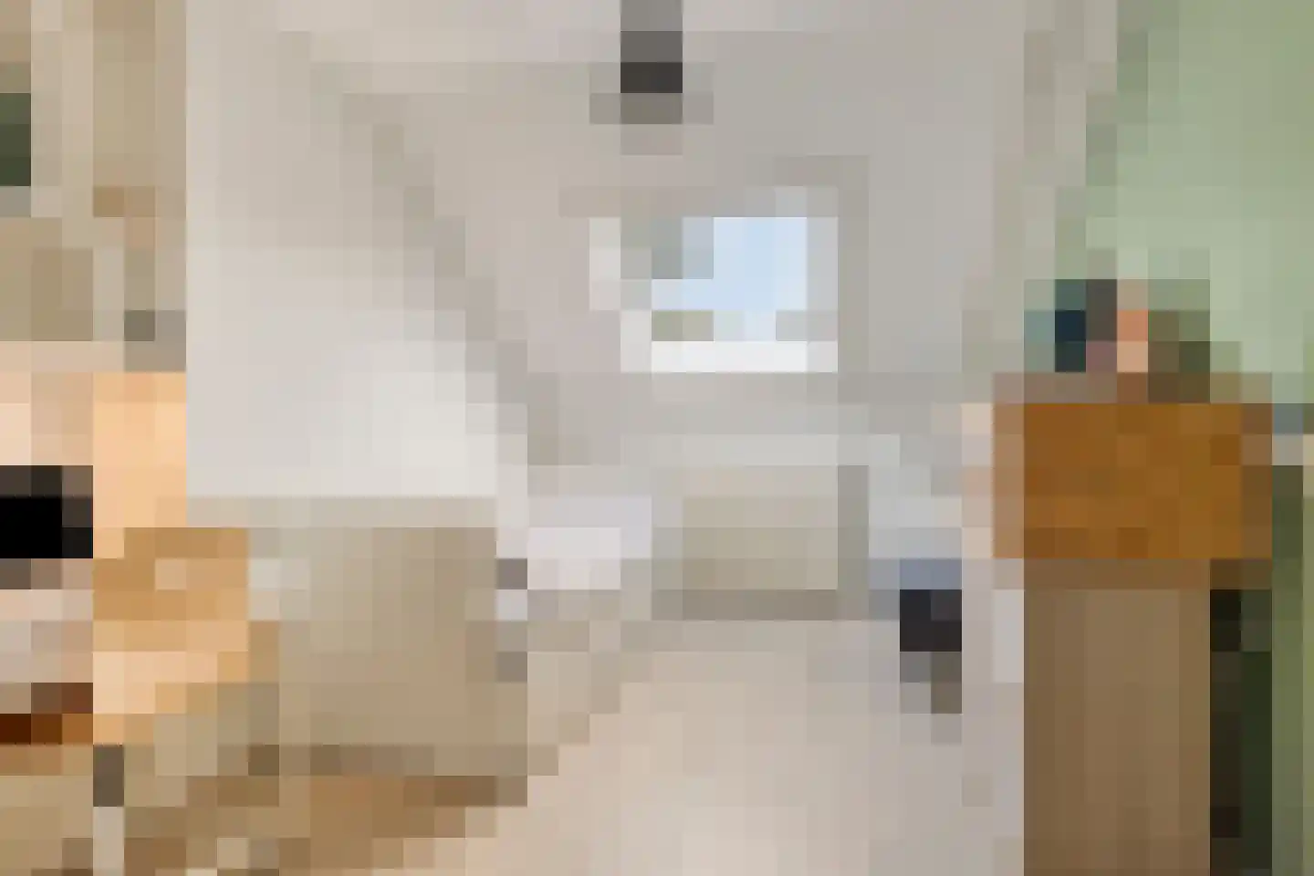 Guido Gezellelaan 86 Goirle thumbnail 23