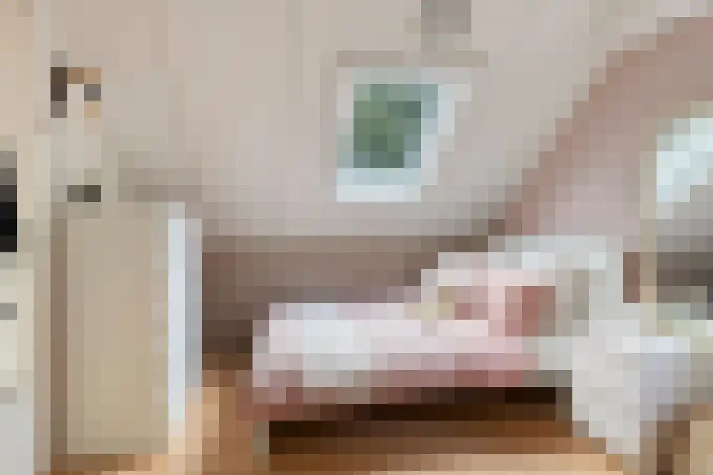 Guido Gezellelaan 86 Goirle thumbnail 26