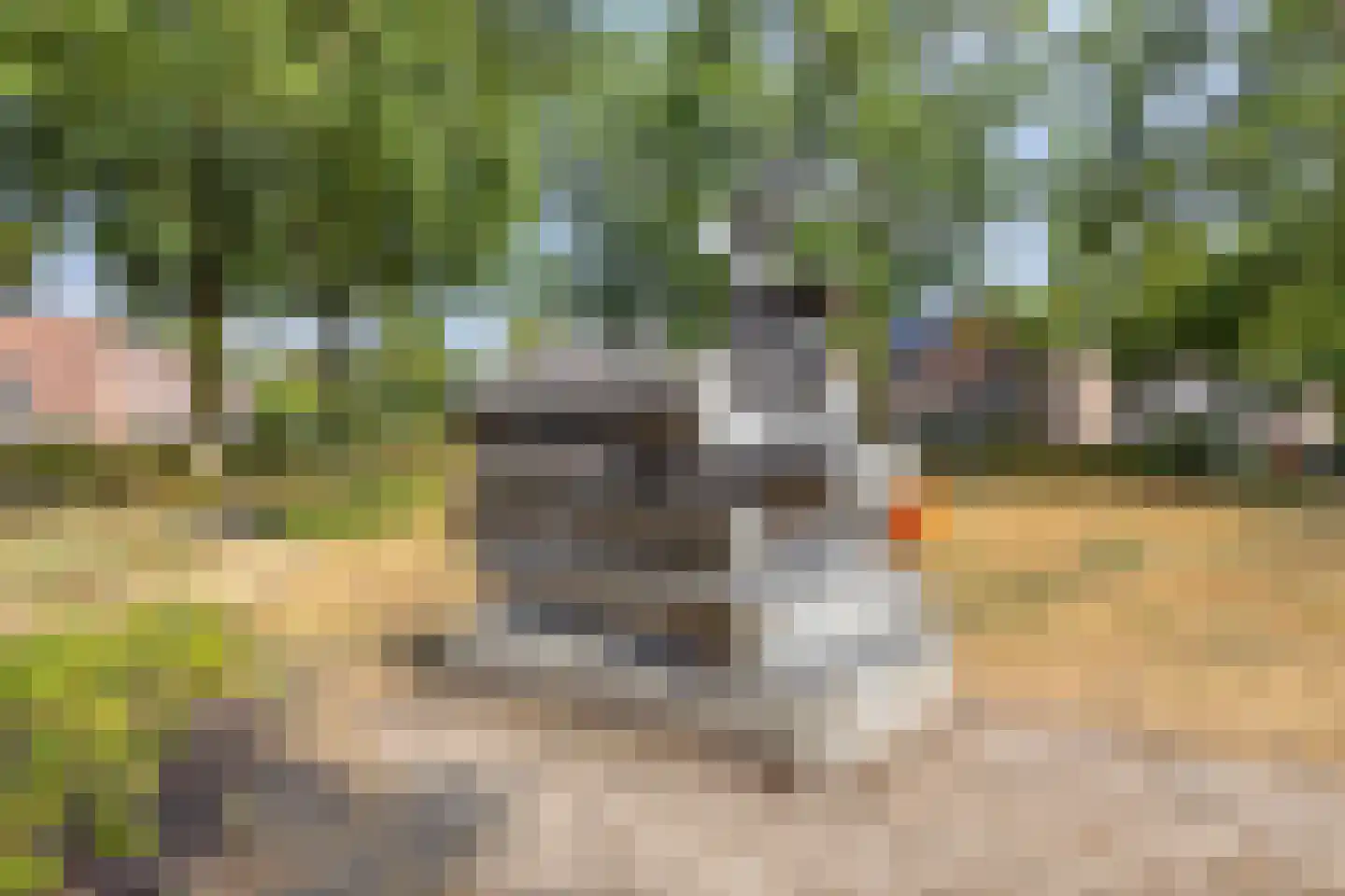 Guido Gezellelaan 86 Goirle thumbnail 33