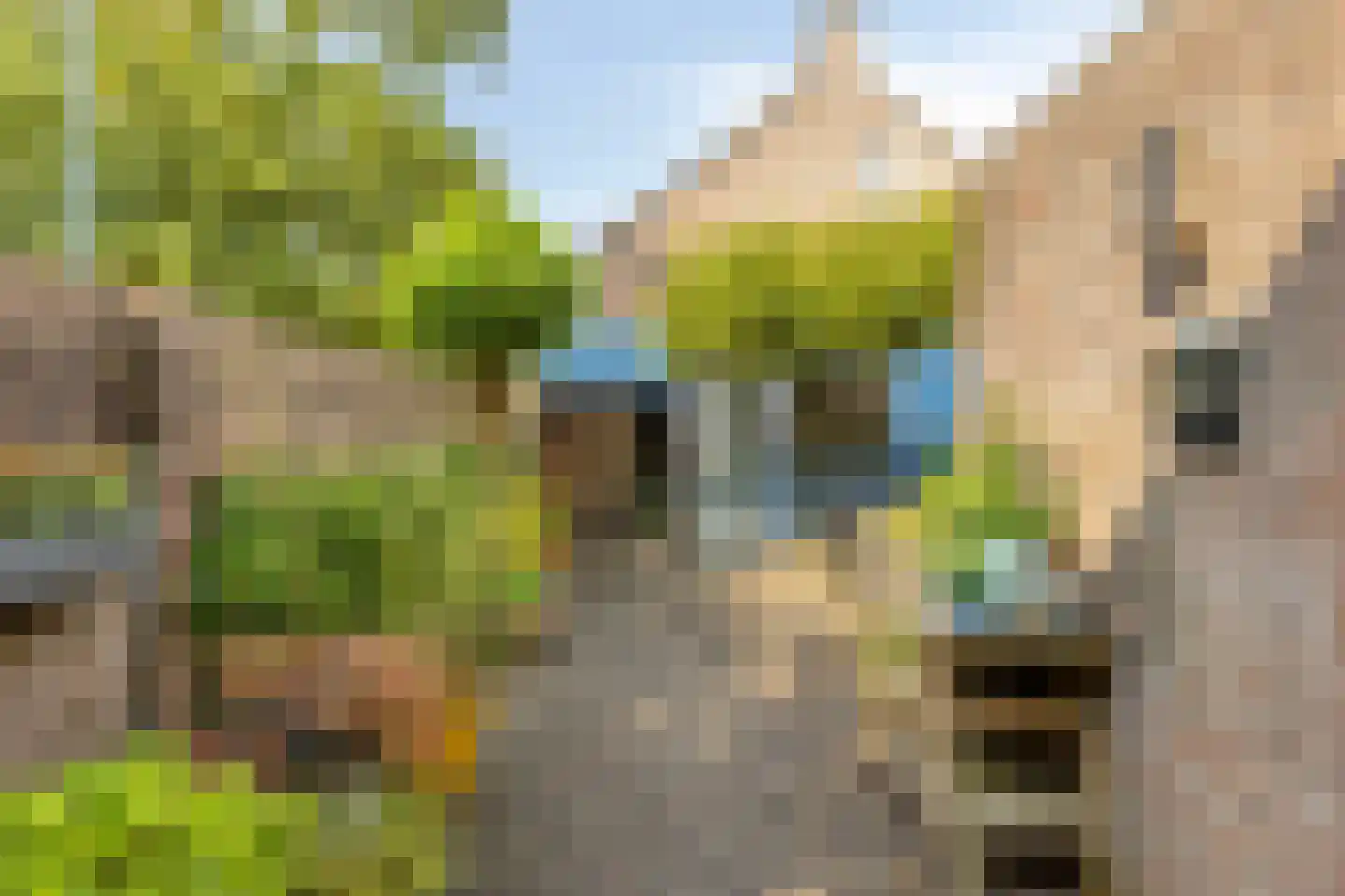Guido Gezellelaan 86 Goirle thumbnail 5