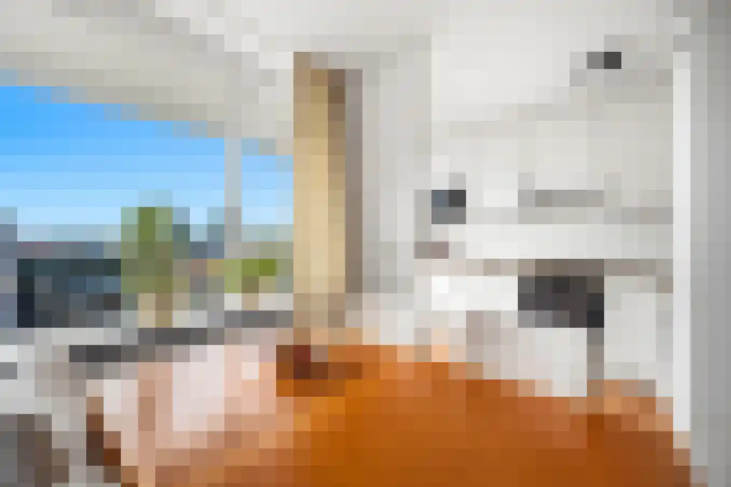 Guido Gezellestraat 14 Voorburg thumbnail 13