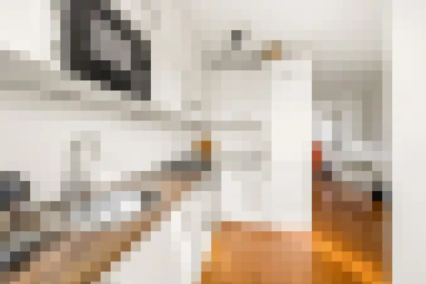 Guido Gezellestraat 14 Voorburg thumbnail 15