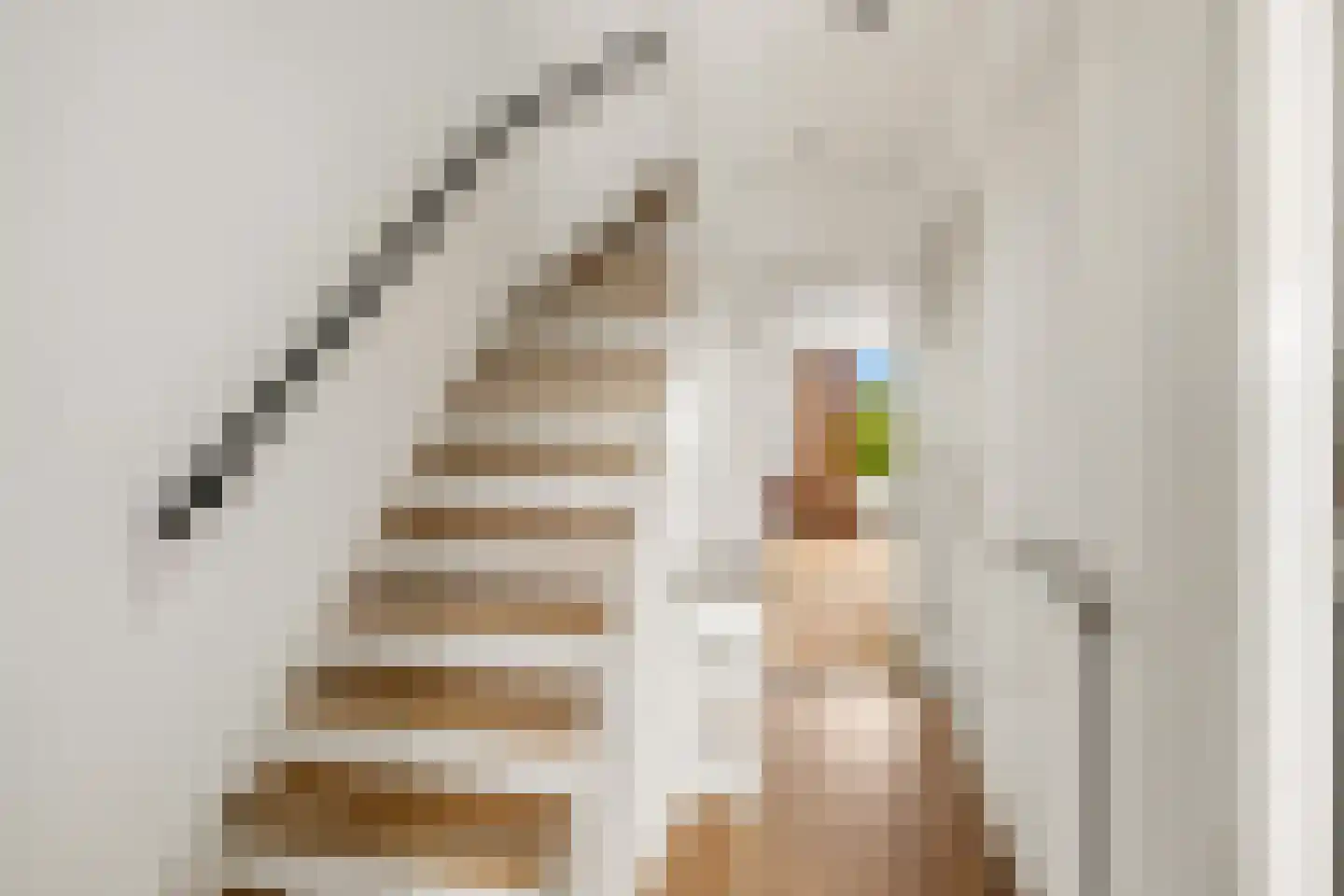 Guido Gezellestraat 14 Voorburg thumbnail 6
