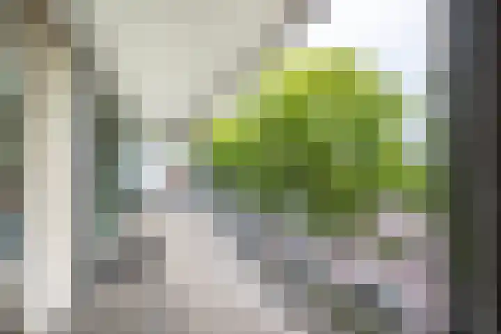 Guido Gezellestraat 141 Voorburg thumbnail 13