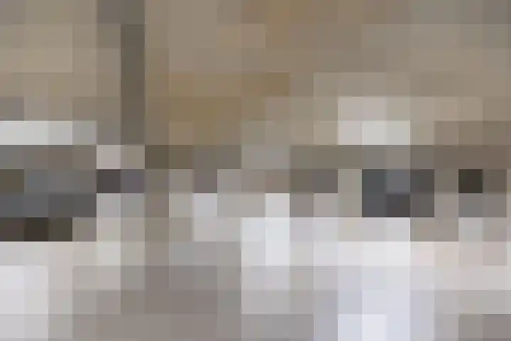 Guido Gezellestraat 141 Voorburg thumbnail 26