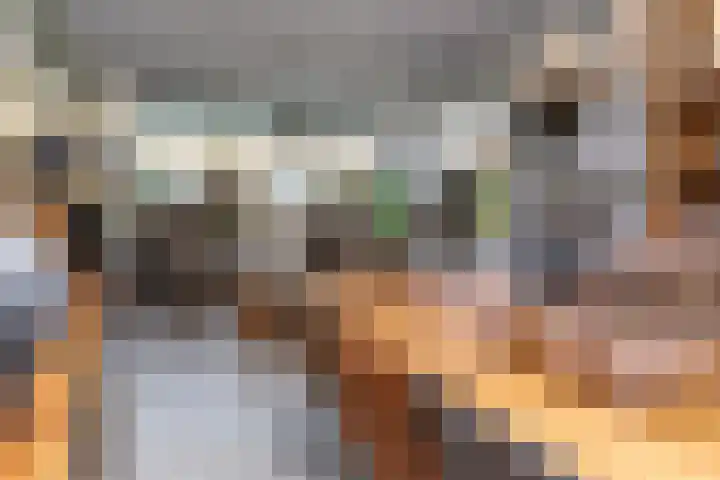 Guido Gezellestraat 17 Kesteren thumbnail 14