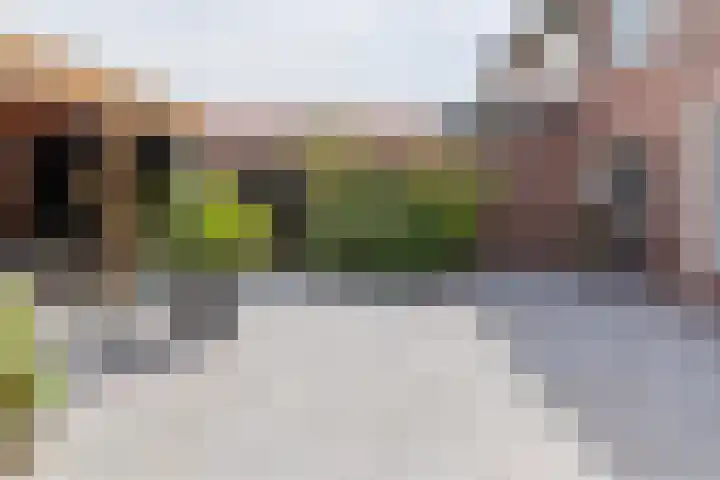 Guido Gezellestraat 17 Kesteren thumbnail 46