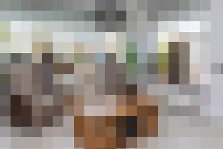 Guido Gezellestraat 17 Kesteren thumbnail 55