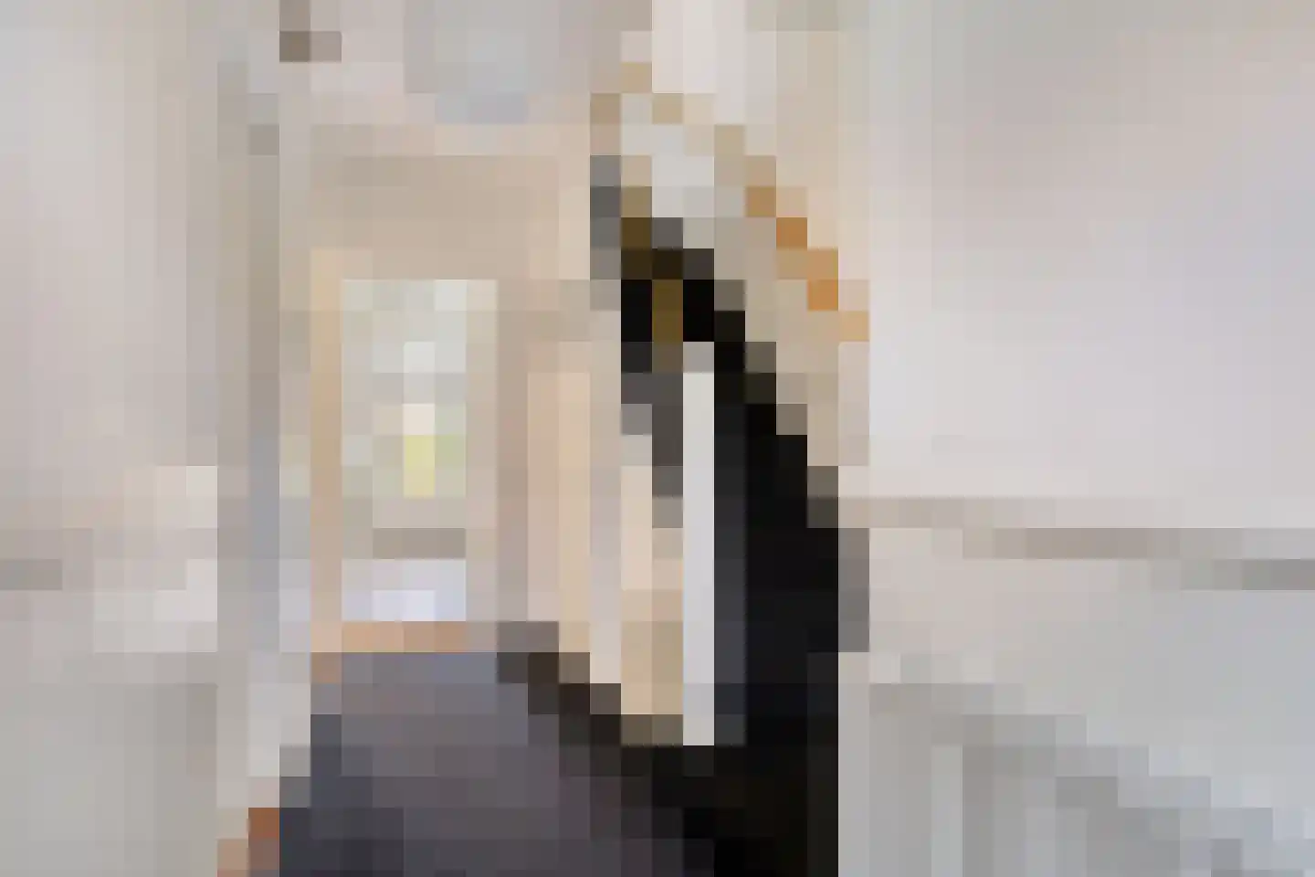 Guido Gezellestraat 17 Nijmegen thumbnail 17