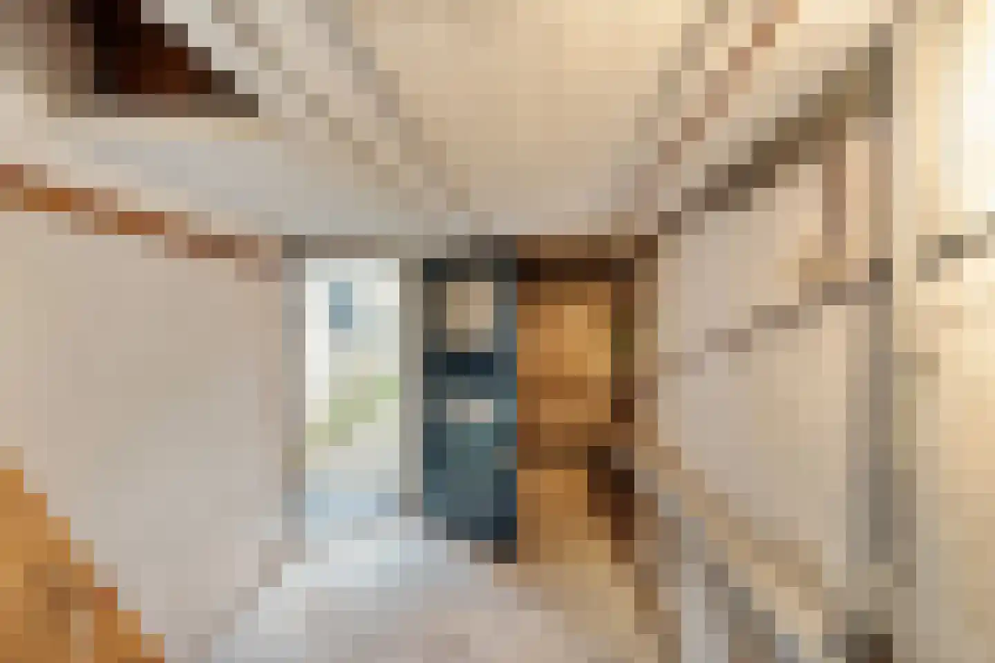 Guido Gezellestraat 17 Nijmegen thumbnail 28