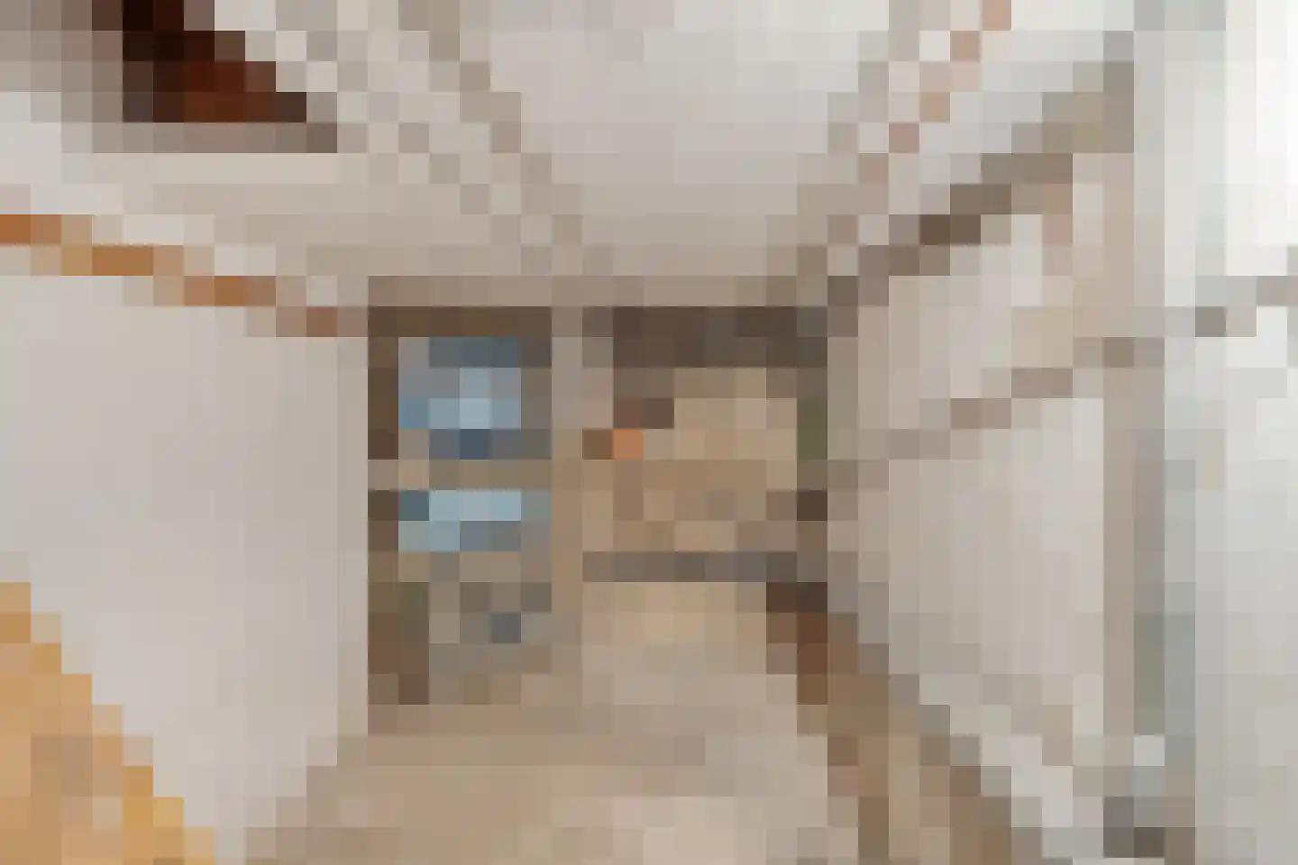 Guido Gezellestraat 17 Nijmegen thumbnail 30
