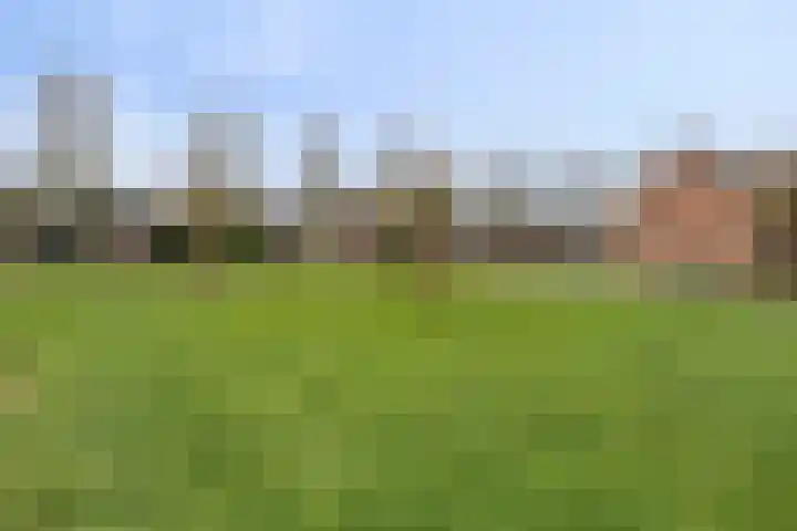 Guido Gezellestraat 2 Winschoten thumbnail 33