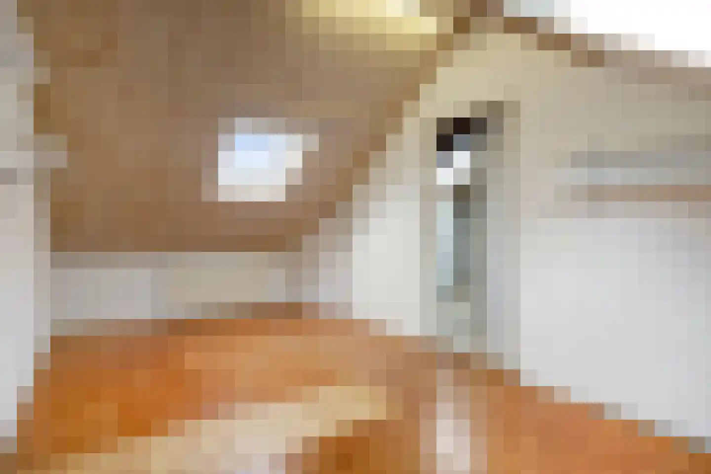 Guido Gezellestraat 21 Oldenzaal thumbnail 23
