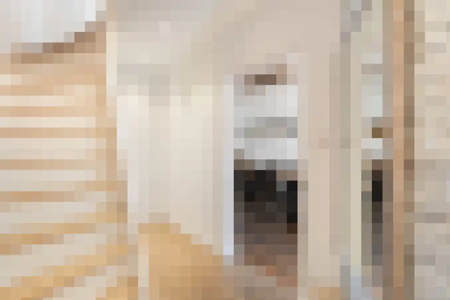 Guido Gezellestraat 22 Den Haag thumbnail 11