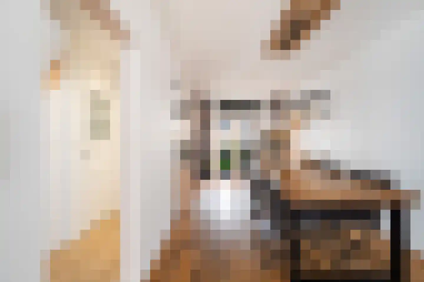 Guido Gezellestraat 22 Den Haag thumbnail 12