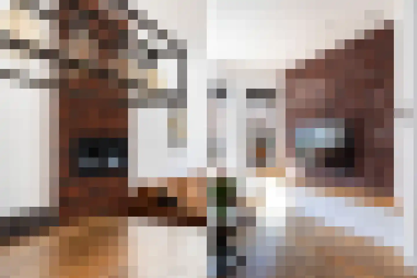 Guido Gezellestraat 22 Den Haag thumbnail 20