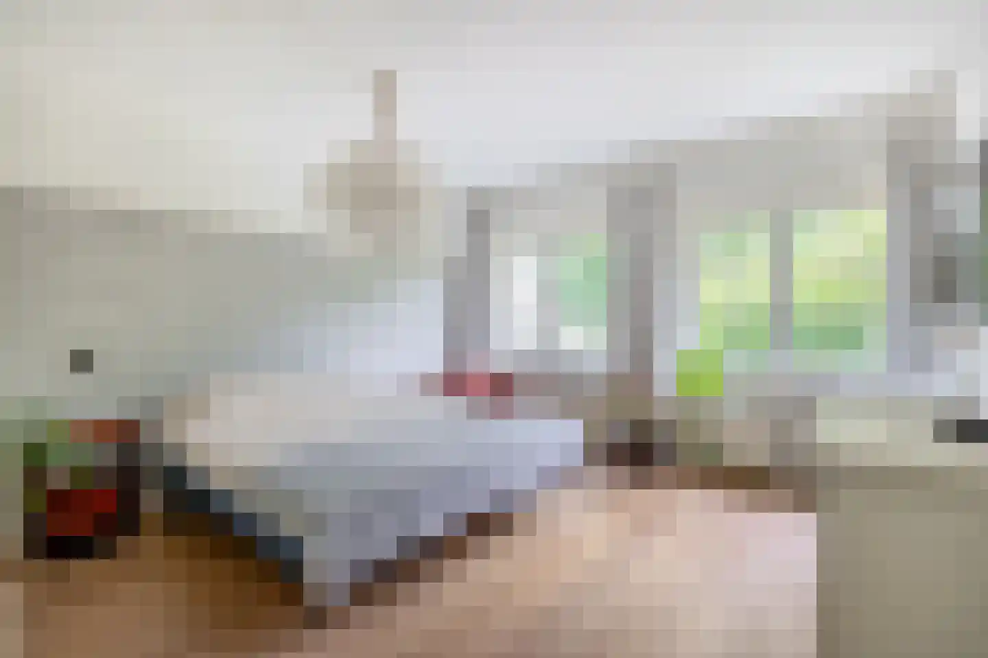 Guido Gezellestraat 24 Eindhoven thumbnail 31