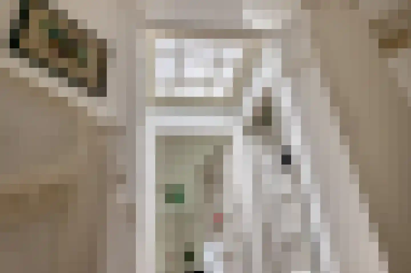 Guido Gezellestraat 24 Eindhoven thumbnail 44