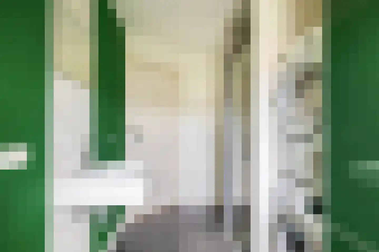 Guido Gezellestraat 24 Eindhoven thumbnail 46