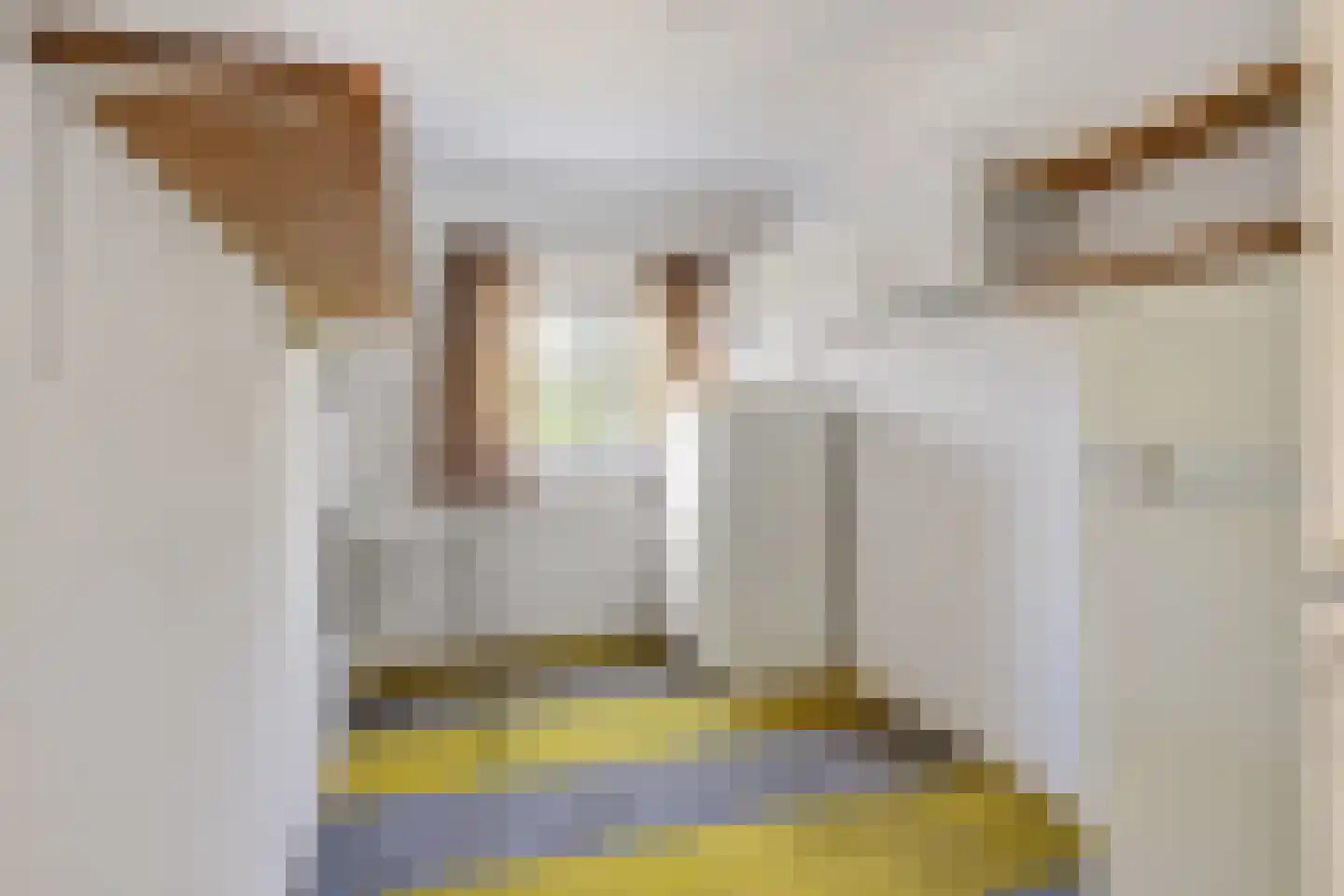Guido Gezellestraat 31 Eindhoven thumbnail 39