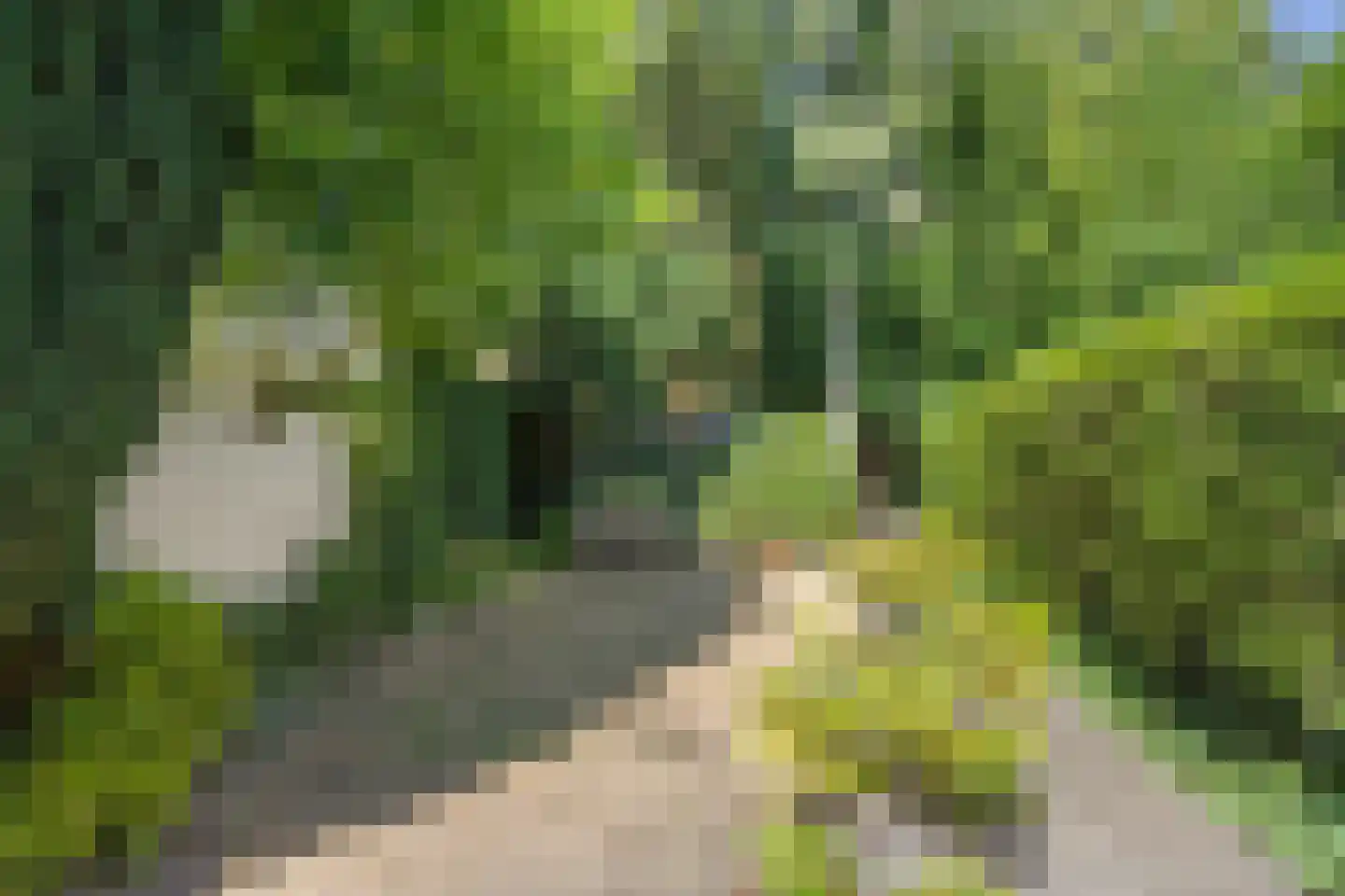 Guido Gezellestraat 31 Eindhoven thumbnail 40