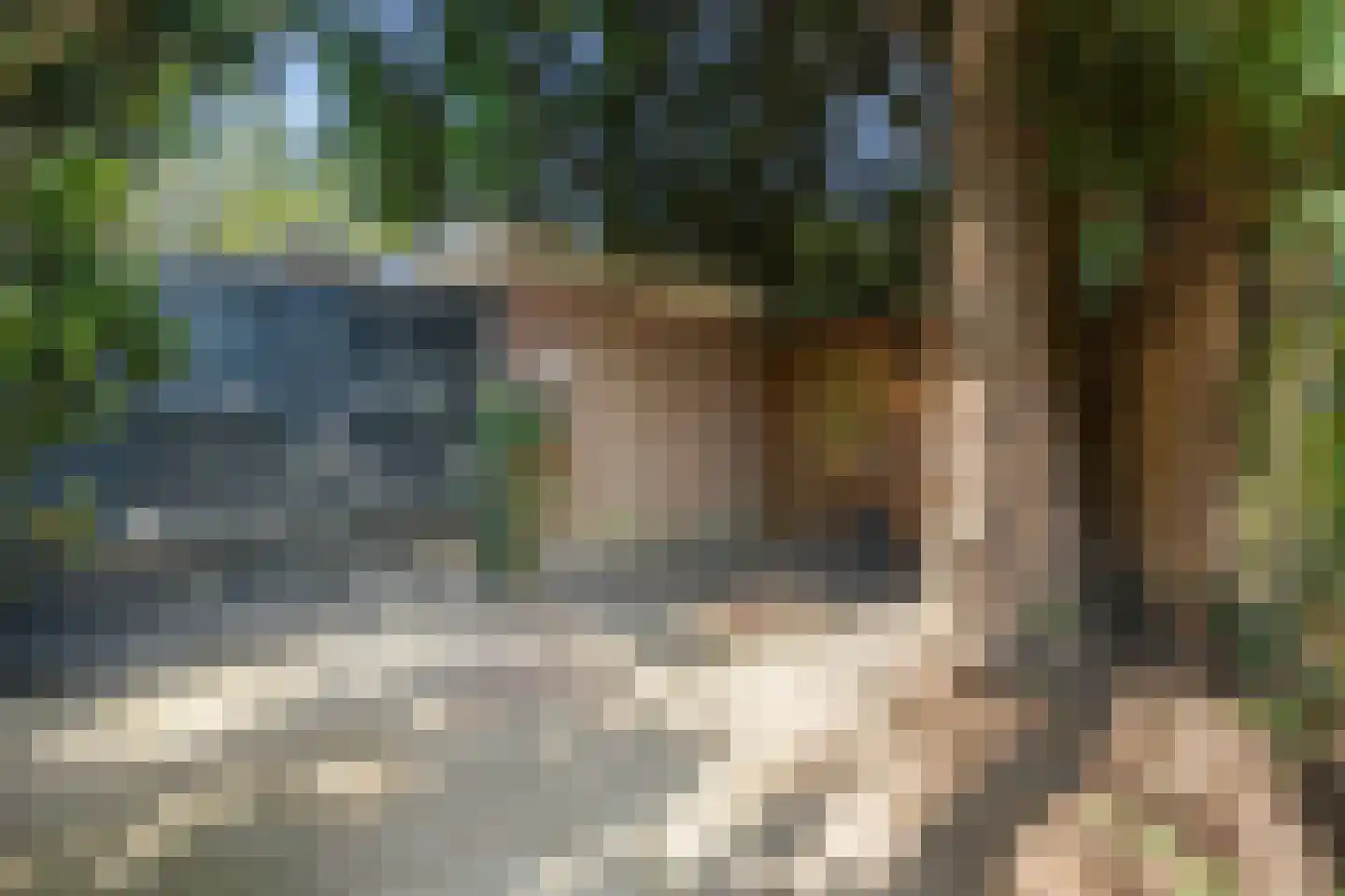 Guido Gezellestraat 31 Eindhoven thumbnail 42