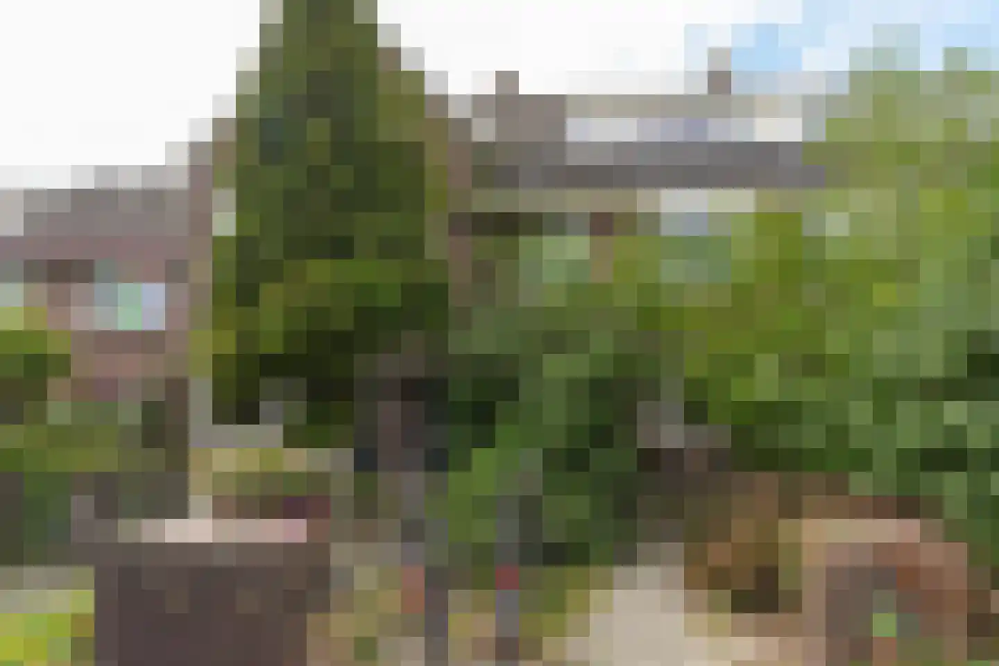 Guido Gezellestraat 38 Nijmegen thumbnail 29