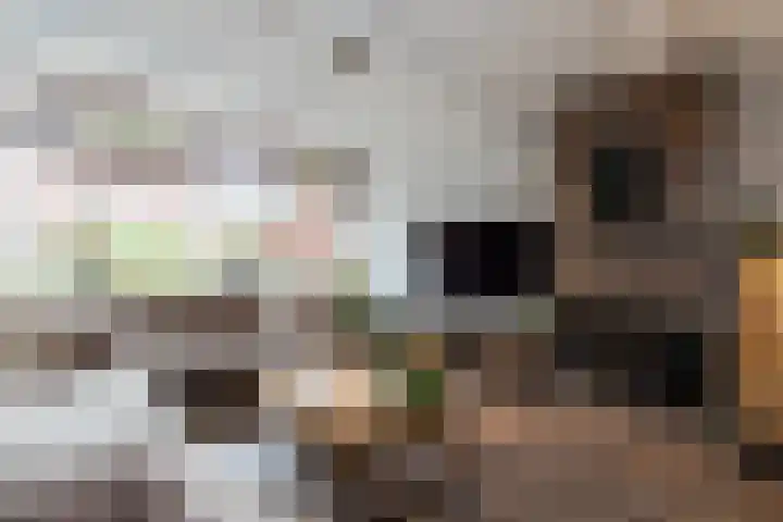 Guido Gezellestraat 53 Papendrecht thumbnail 7