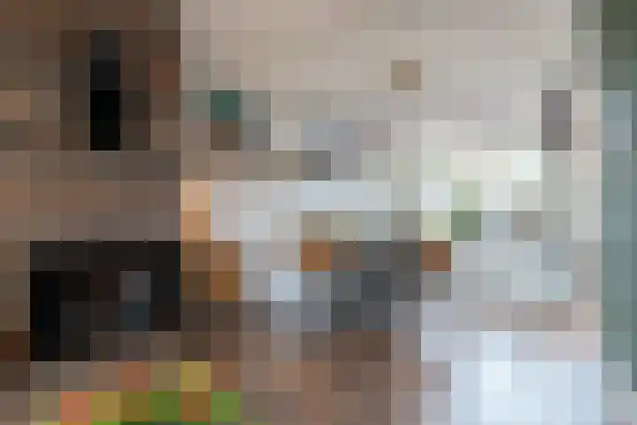 Guido Gezellestraat 53 Papendrecht thumbnail 8