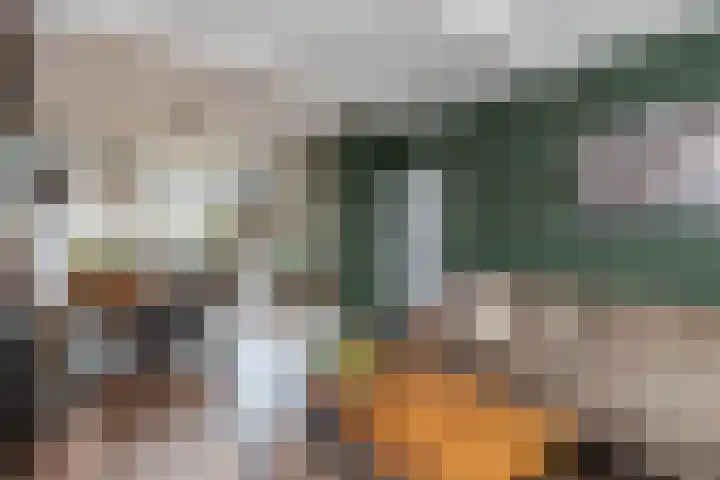 Guido Gezellestraat 53 Papendrecht thumbnail 9