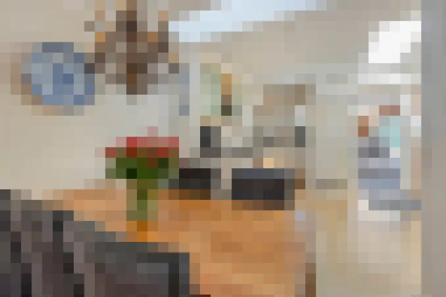 Guido Gezellestraat 61 Venlo thumbnail 8