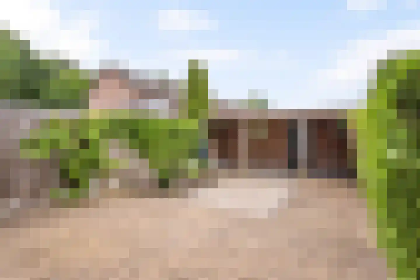 Guido Gezellestraat 7 Oldenzaal thumbnail 20