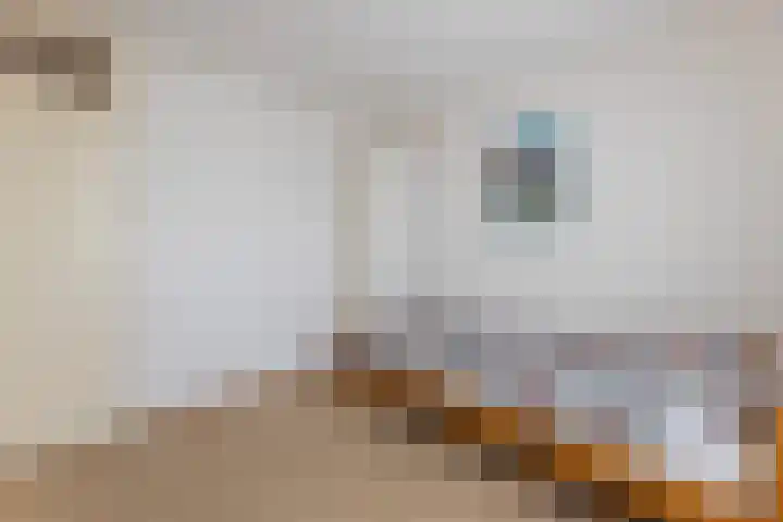 Guido Gezellestraat 8 Hengelo thumbnail 22