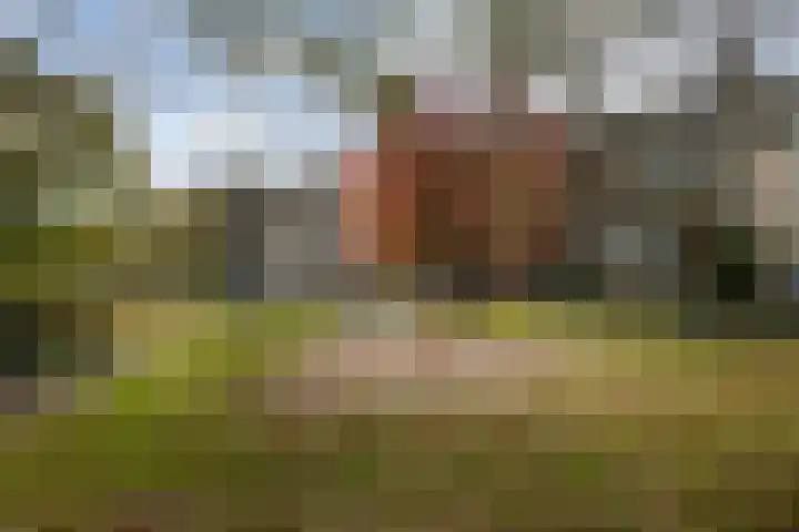Guido Gezellestraat 8 Hengelo thumbnail 35