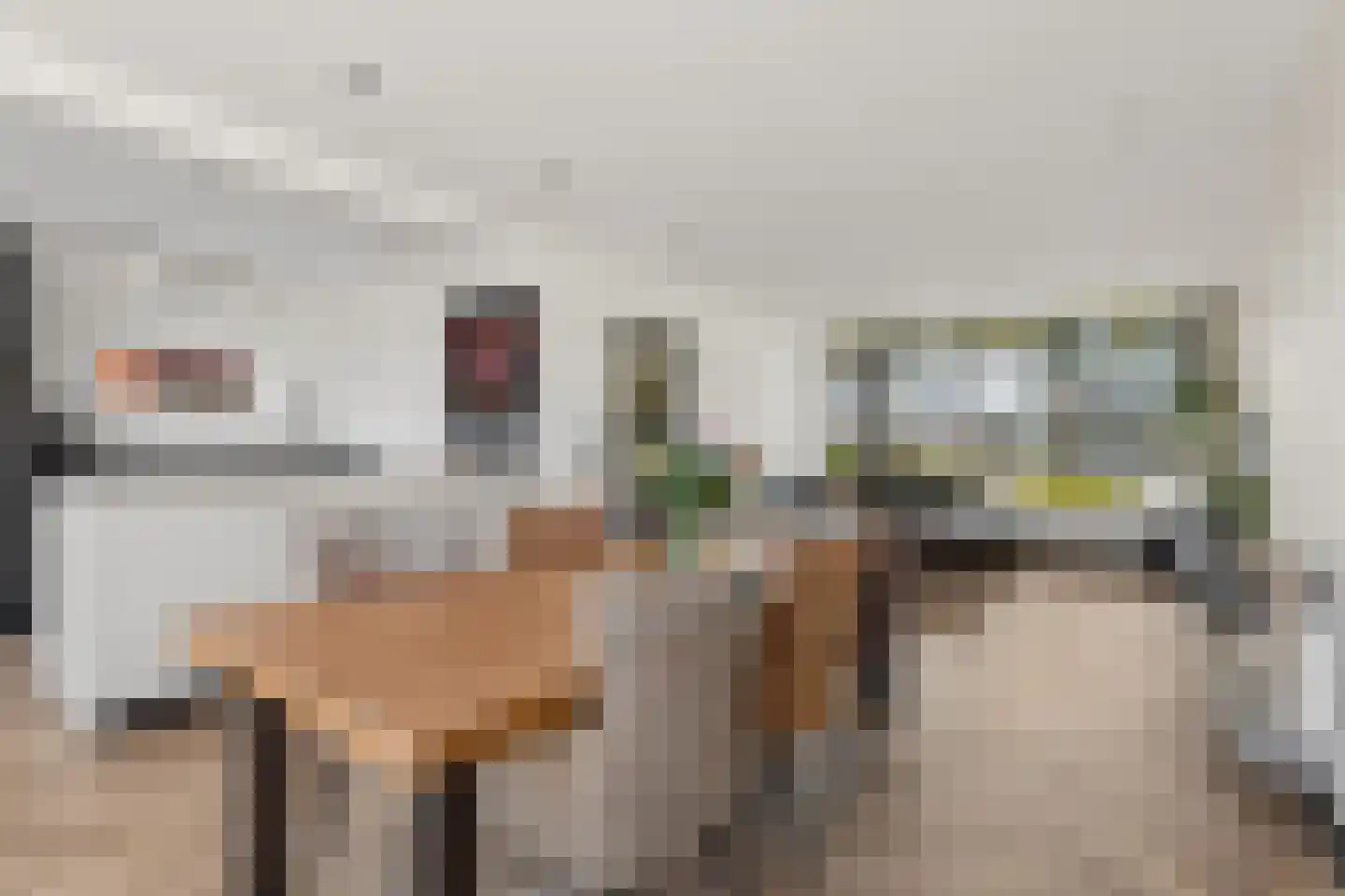 Guido Gezellestraat 9 Zevenaar thumbnail 21