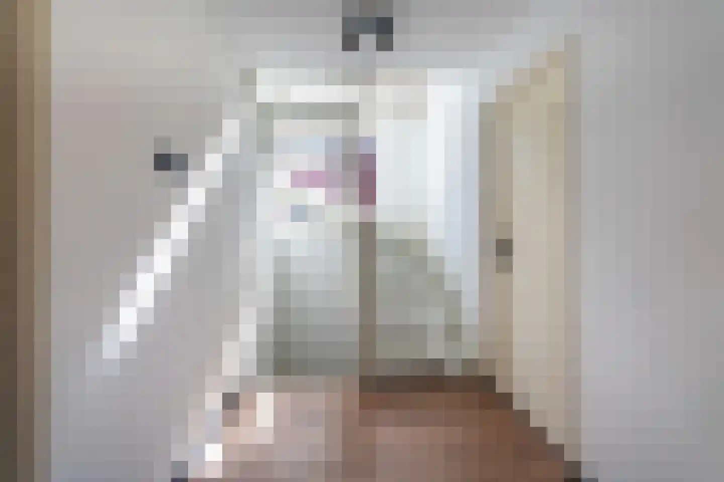 Guido Gezellestraat 9 Zevenaar thumbnail 38