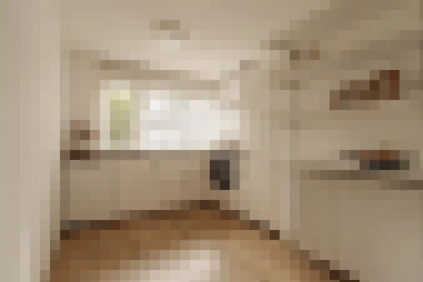 Guido van Dethlaan 32 Amstelveen thumbnail 14